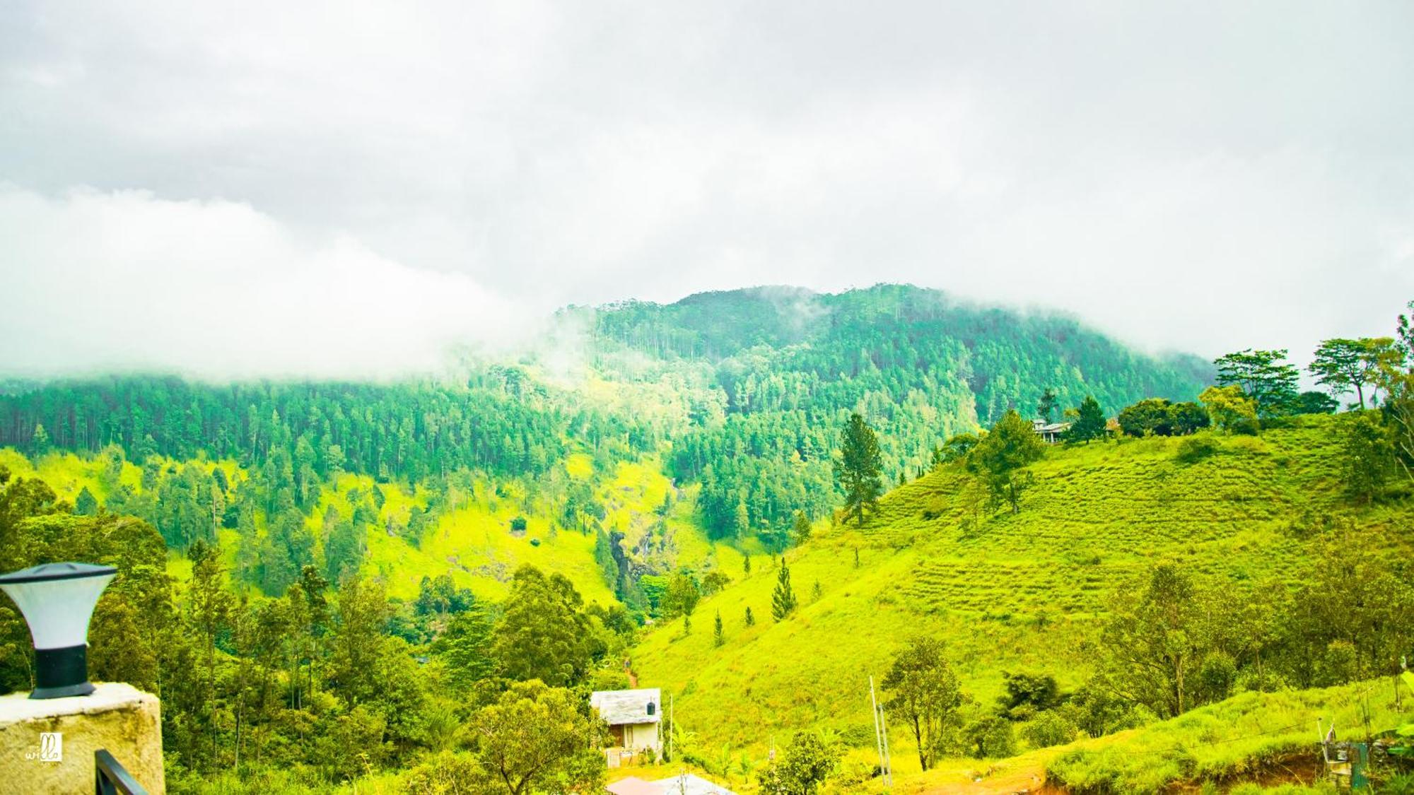 Wonder Mount Resort Ella Zewnętrze zdjęcie